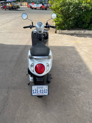 Honda Scoopy 2022 ម៉ូតូក្រុមហ៊ុន មានកាតគ្រីត្រឹមត្រូវ