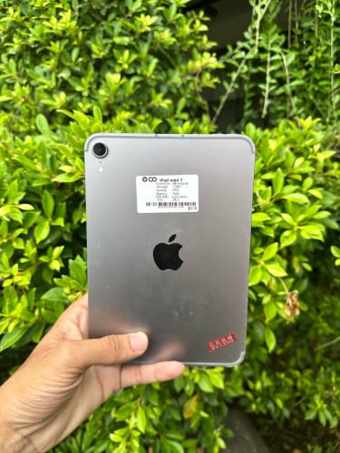 iPad mini7