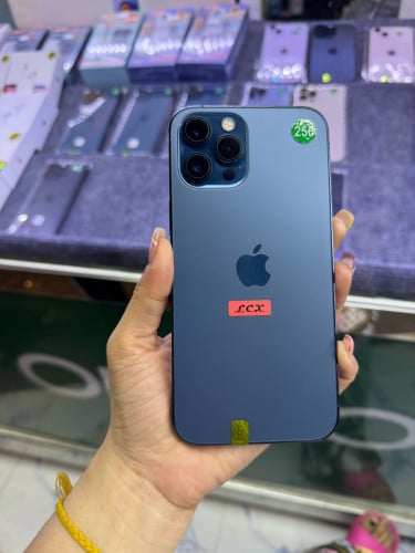 iPhone 12 Pro Max