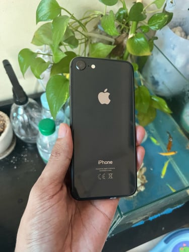 iPhone 8G 64g​ zin អត់ជាប់ លក់❤️📥