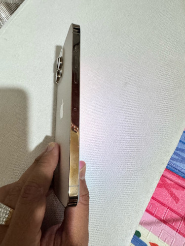 iPhone 13 pro max 128g