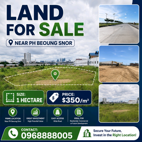 Land 1 Hectare _$350/m2_ Near PH