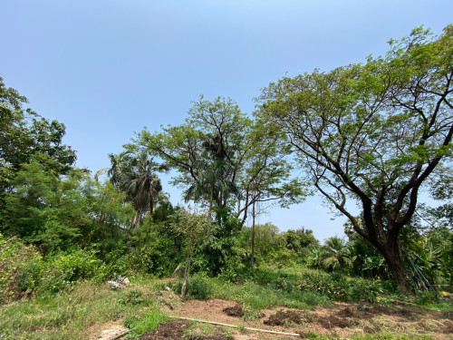 Land for Sale Near Borey Mekong City 6A 35*100+m