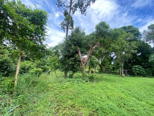 Land for Sale Near Borey Mekong City 6A 35*100+m