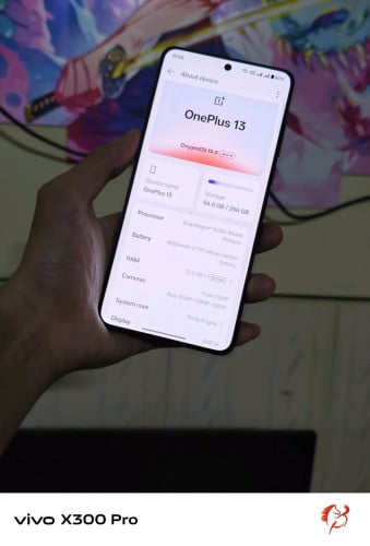 OnePlus 13 Global Firmware