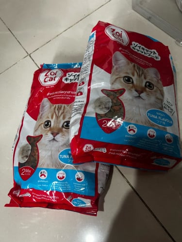 Rush Sale! All for 60$ only! - Persian Kitten + Cage + 2 Cat Food