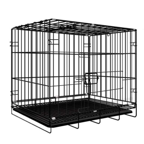 Rush Sale! All for 60$ only! - Persian Kitten + Cage + 2 Cat Food
