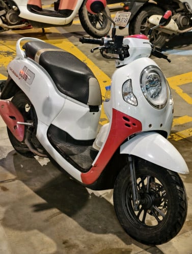 Scoopy 2021
