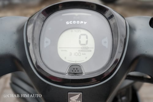 Scoopy025         95%