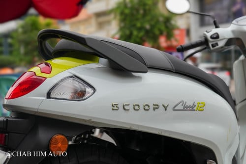 Scoopy025         95%