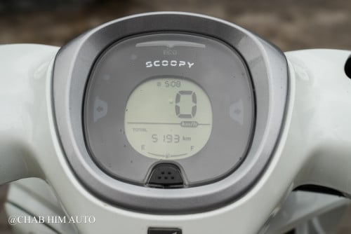Scoopy025         95%