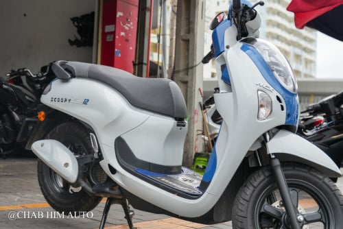 Scoopy026        95%