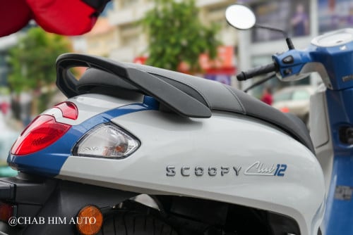 Scoopy026        95%