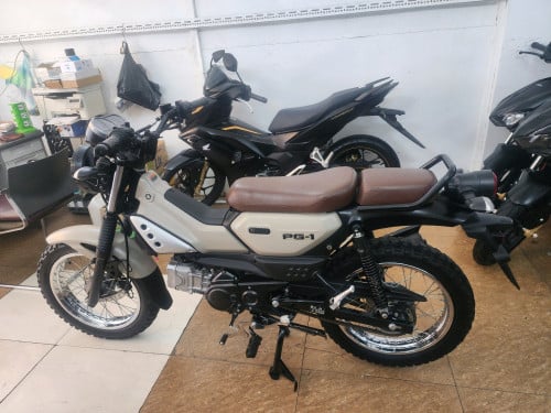 Yamaha pg1 2024