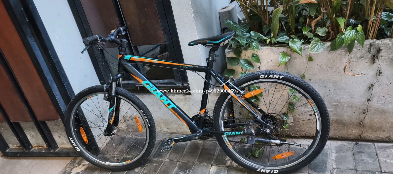 Giant លក់ប្រញាប់លុយ វង់26