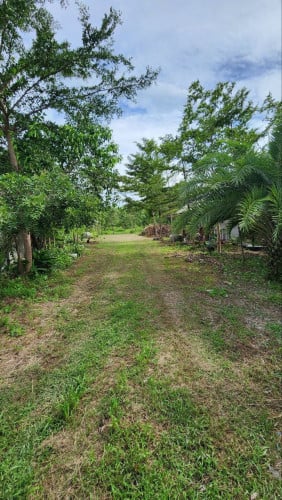 ដីលក់នៅអង្គស្នួល