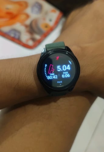Gamin Forerunner 165