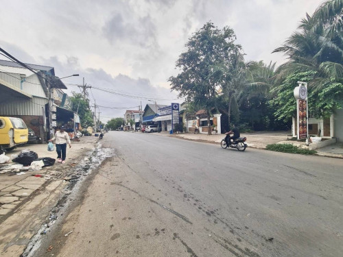 ដីលក់លើផ្លូវ ទ្រី ហេង