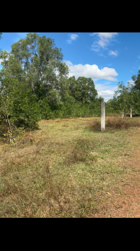 ដីលក់បន្ទាន់