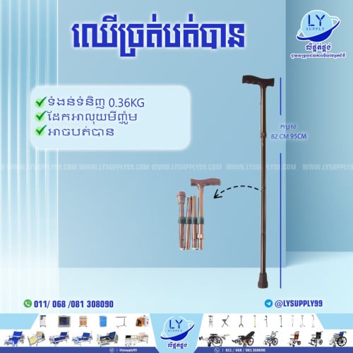ឈើច្រត់បត់បាន