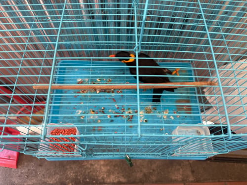 អាវងធំហេីយរហ័សណាស់