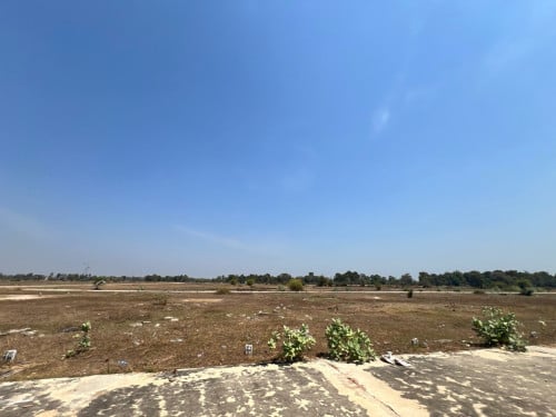 ដីឡូតិ៍លក់បន្ទាន់