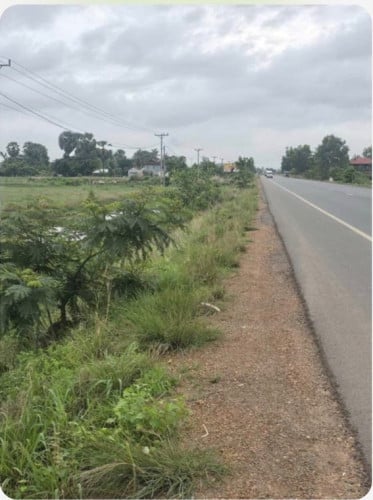 ដីល្អលក់បន្ទាន់ 优质土地急售