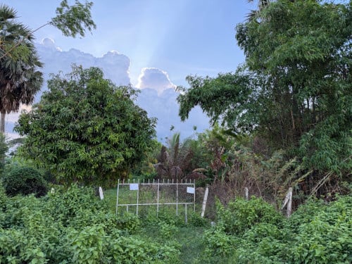 -ដីជាប់ផ្លូវកៅស៊ូ មានផ្លូវមុខក្រោយ -ក្បាល20m x 99m-ម៉ៅ70000$ ចរចារ ☎️: 071 795 5579