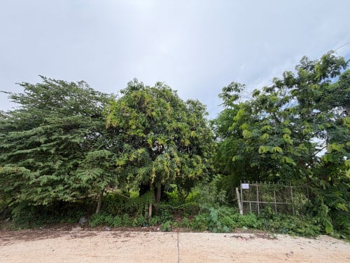 -ដីជាប់ផ្លូវកៅស៊ូ មានផ្លូវមុខក្រោយ -ក្បាល20m x 99m-ម៉ៅ70000$ ចរចារ ☎️: 071 795 5579
