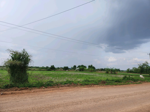 ដីអាជីវកម្មទំហំ4.1ហតនៅជ្រៃចុះពីហៃវេផ្លូវទៅកំពីងពួយប្រហែល3គល