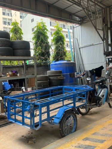 រម៉កលក់ឡៃឡុង 450$