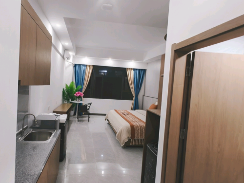 西港南海核心区域，50㎡1室一卫公寓 月租280$起 南海商圈 拎包即住