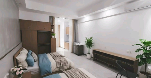 西港南海核心区域，50㎡1室一卫公寓 月租280$起 南海商圈 拎包即住