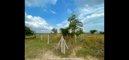 ដីលក់នៅ 7NG បច្ចុប្បន្ន 9NG