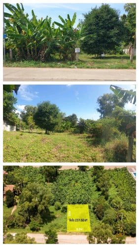 ដីលក់ទីតាំងល្អណាស់តែ8Kmពីវត្តភ្នំ ក្បាល9.5មx25ម ផ្លូវបេតុង8m
