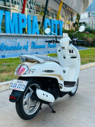 ផែនម៉ូតូស្អាតខ្ចី HONDA SCOOPY I 021ក្រុមហ៊ុនNCX ម៉ាស៊ីនអេមហាប់នែនស្ងាត់សំណុំហ្សីន95%ជិះស្រួលមានពន្ធ