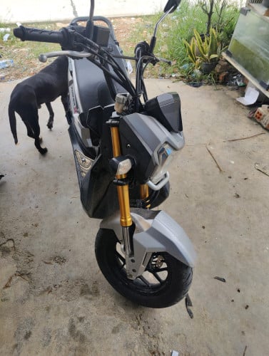 លក់Honda zoomer 2016 ធានាត្រឹមត្រូវម្ចាស់ដើមបាត់កាត