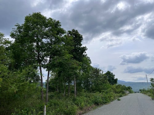 *Leisure Land for sale (In front of Kirirom National Park)