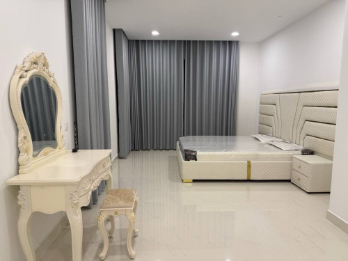 វីឡាប្រភេទ Queen BII Chip Mong Park Land 6A