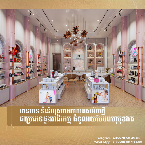 ✨បុរី រិទិ្ធ លុចហ្សារី ទួលសង្កែ✨Borey Rith Luxury Toul Sangke