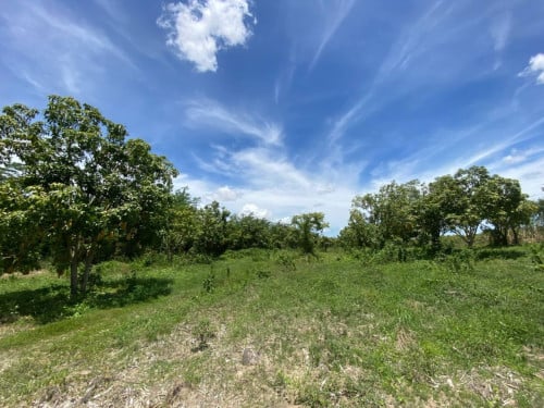 🏦Land Available for Urgent Sale at a Special Price (Negotiable).