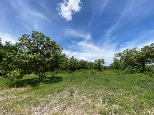 🏦Land Available for Urgent Sale at a Special Price (Negotiable).