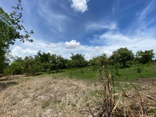 🏦Land Available for Urgent Sale at a Special Price (Negotiable).