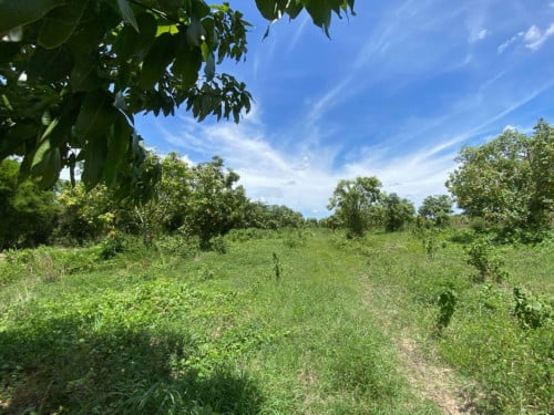 🏦Land Available for Urgent Sale at a Special Price (Negotiable).
