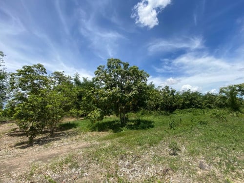 🏦Land Available for Urgent Sale at a Special Price (Negotiable).