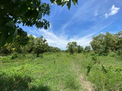 🏦Land Available for Urgent Sale at a Special Price (Negotiable).