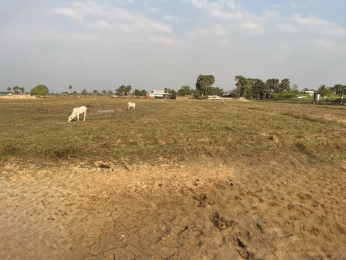 🏦Land Available for Urgent Sale at a Special Price (Negotiable).