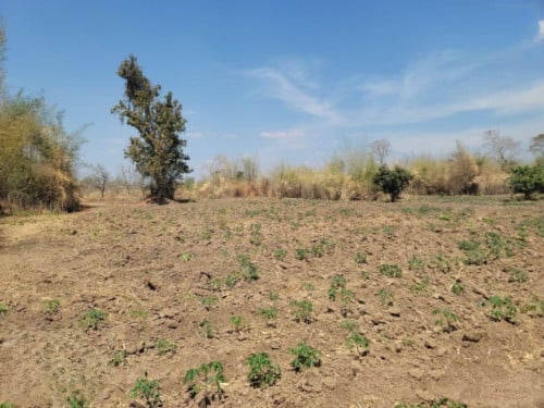 🏦Land Available for Urgent Sale at a Special Price (Negotiable).