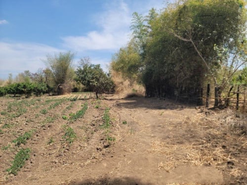 🏦Land Available for Urgent Sale at a Special Price (Negotiable).