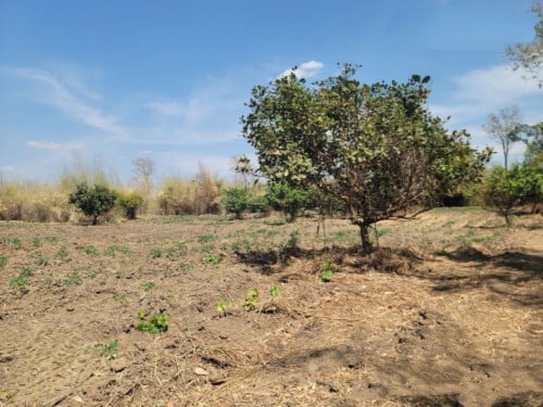 🏦Land Available for Urgent Sale at a Special Price (Negotiable).